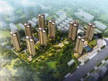 株洲-芦淞区津枫庭苑项目位于芦淞区政府往南约200米