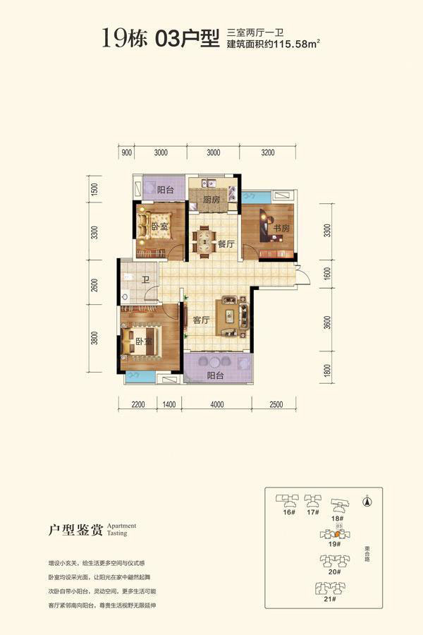 株洲天元区玫瑰园为您提供19栋03户型图片详情鉴赏